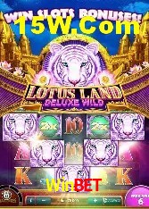 Experiência VIP Winbet